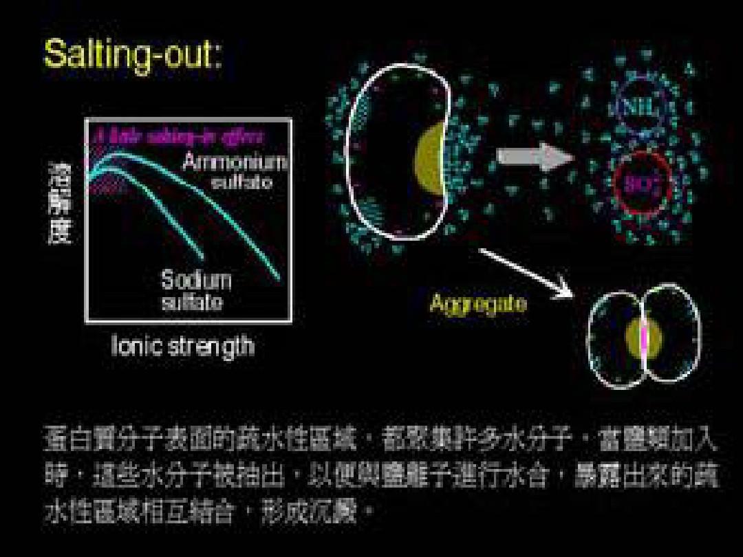 沉淀剂，科学之舞中的隐形舞者