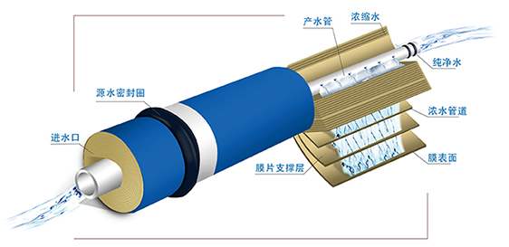 福彩3D 123456，今日全图牛彩的奥秘