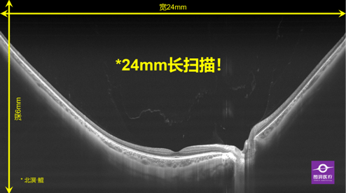 宠物医疗技术的革新与未来展望