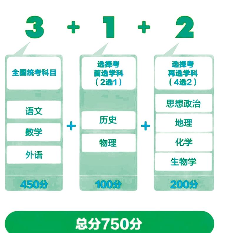 管家婆2025，全面解析与资料图片大全