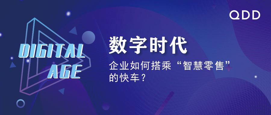 宝典网，数字时代的智慧宝库与学习新航标