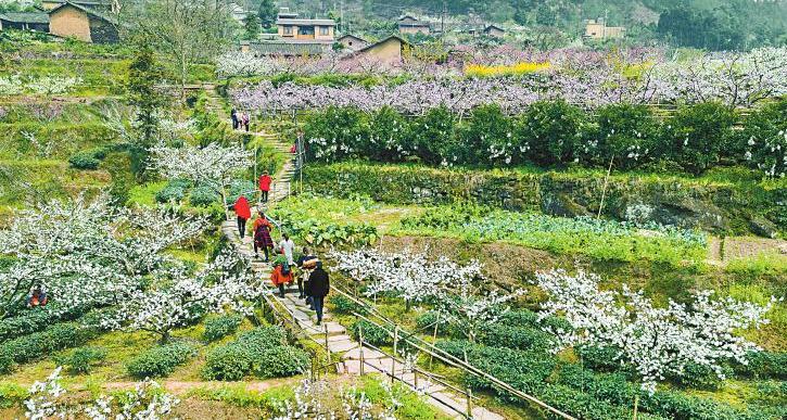 重庆旅游职业学院的魅力之旅，培育未来旅游之星