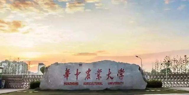 华中农业大学，211工程与卓越农业教育的交汇点