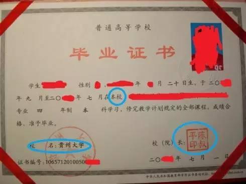 邵阳学院，一本还是二本？——解析其教育层次与特色