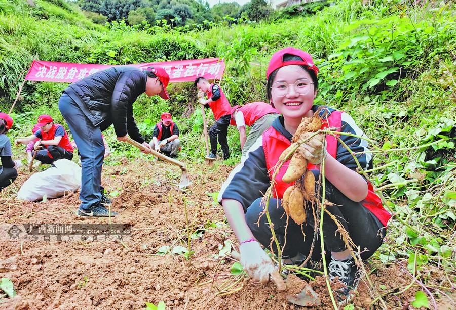 河池学院，培养未来，助力就业的坚实桥梁