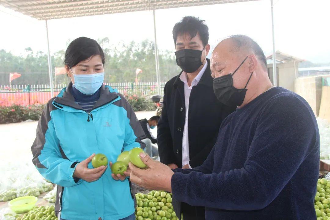 乡村医生述职报告，守护健康，情系乡土