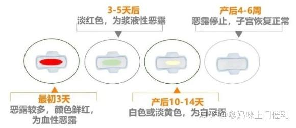 产后月经复潮的时间，科学解析与个体差异