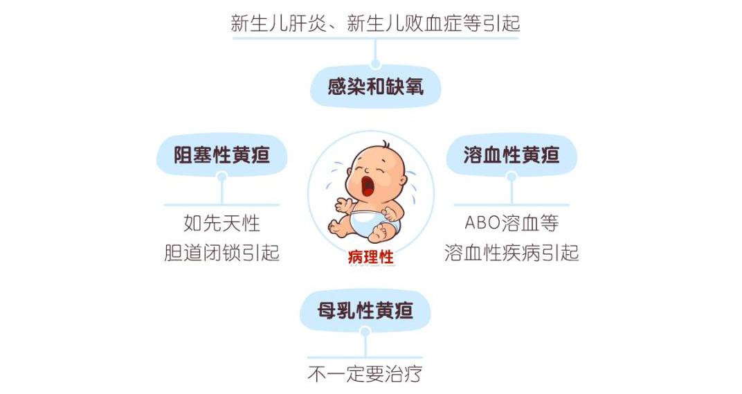 探究新生儿黄疸的成因与应对策略