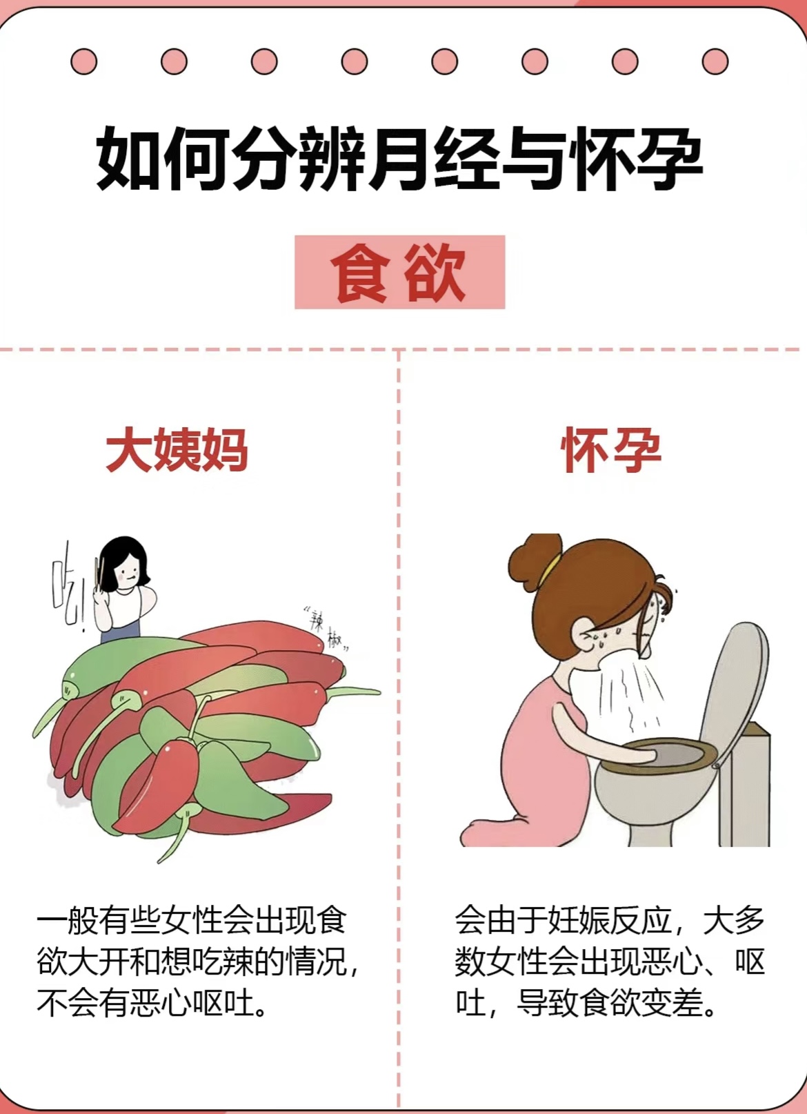 怀孕后是否会来月经，科学解析与常见误区