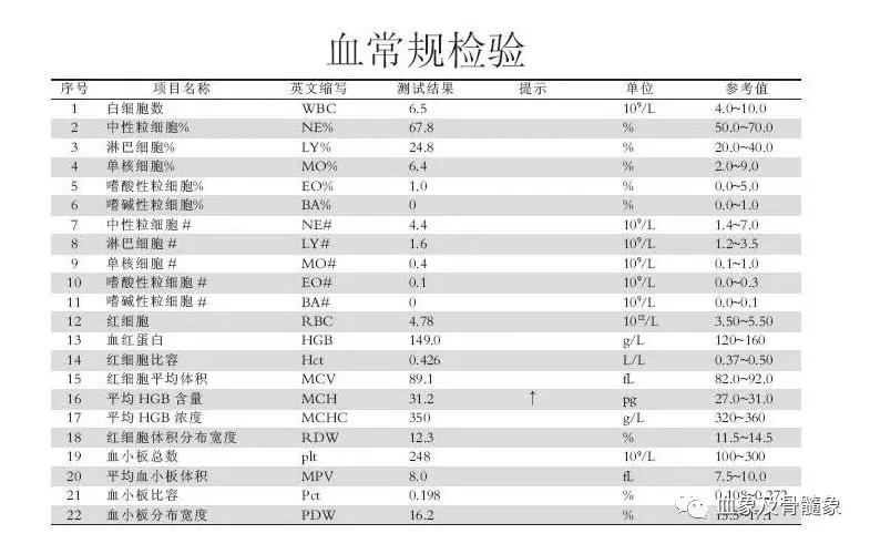 血液检查，健康诊断的隐形侦探