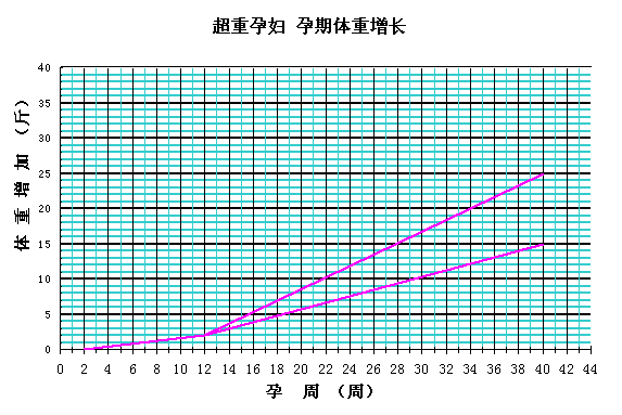 孕期体重增长标准，科学指导，健康孕育