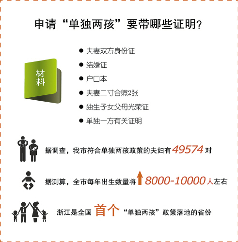 单独二胎申请流程详解，从准备到成功获批的每一步