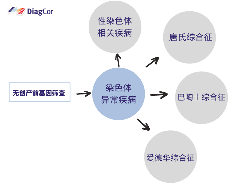 探索无创DNA，解锁产前筛查的未来