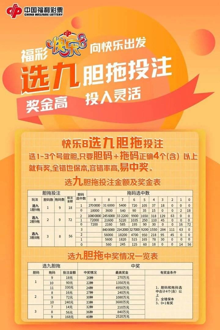 探索大乐透胆拖中奖的奥秘，使用胆拖中奖计算器揭秘