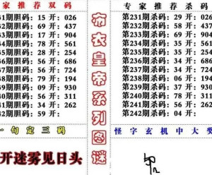 最新一期3D真正老道字谜解析，揭秘数字背后的智慧与乐趣