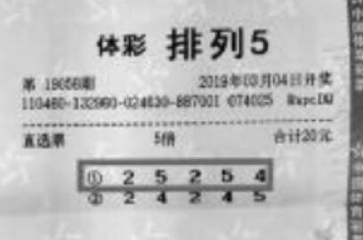 排列5机选一注，数字游戏中的幸运与智慧