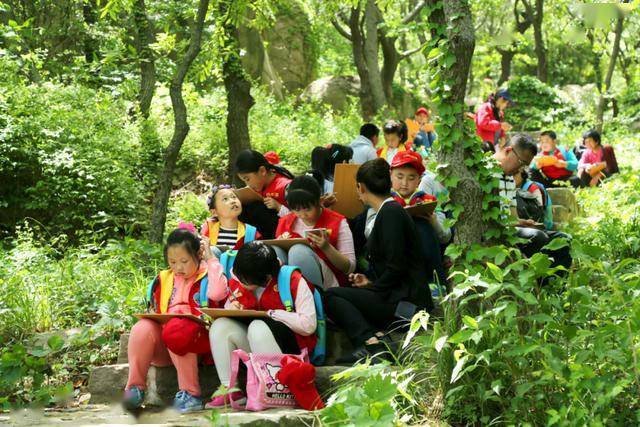 第一次买彩票，从懵懂到乐趣的探索之旅