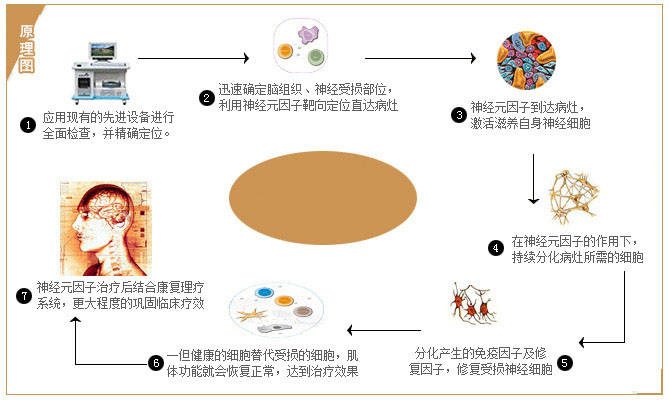 联系我们 第241页