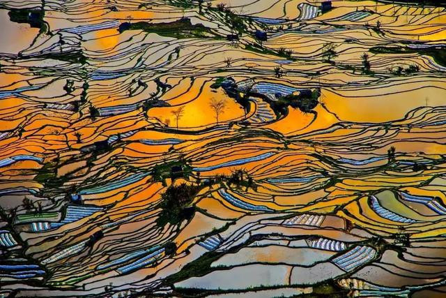 探索太湖系列图，一幅幅历史与自然的交响画卷