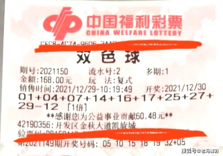 220146期双色球开奖结果揭晓，幸运数字背后的期待与梦想