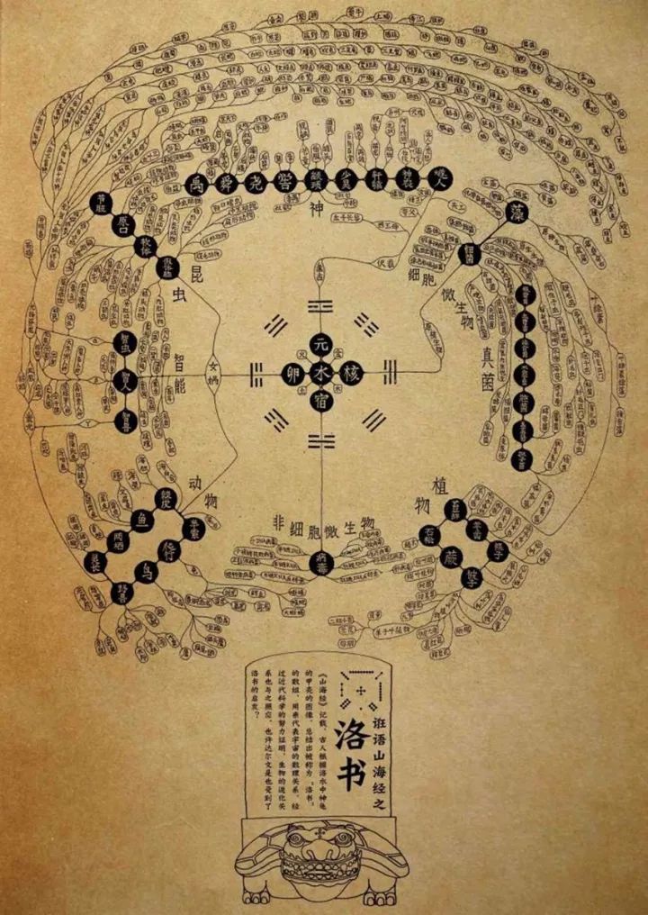 探寻二四六图片背后的玄机，解锁308的秘密二四六图片玄机资料文字