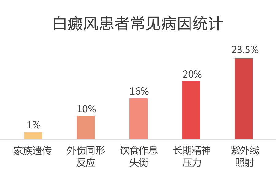 2014年澳门彩票新玩法，天天开好彩，正版大全解析2004新澳门天天开好彩大全正版指点江山