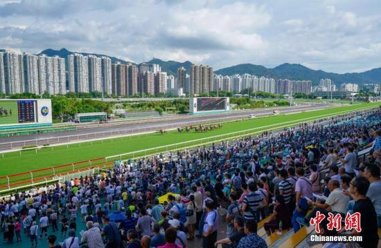 2019年香港马会免费资料，深度解析与理性投注香港马资料大全2019