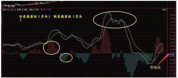 精准预测，特马资料最准的奥秘正版特马资料免费资料大全