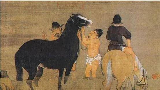 今晚特马图,揭秘神秘数字背后的奇幻之旅今晚特马图资料下2025