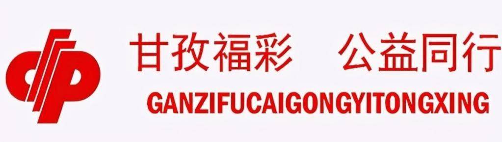 河北燕赵福利彩票双色球,公益与梦想的双重奏鸣河北福利彩票双色球查询