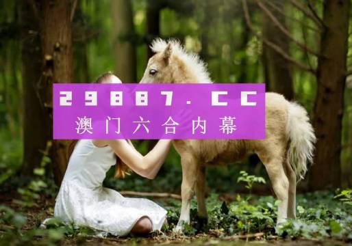 管家婆心水主论坛，深度解析与理性探讨管家婆心水论高手论坛