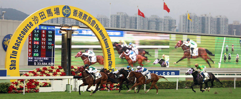 探索香港马会开奖直播,揭秘赛马的激情与科技融合马会香港开奖直播20|9年开奖自动更新