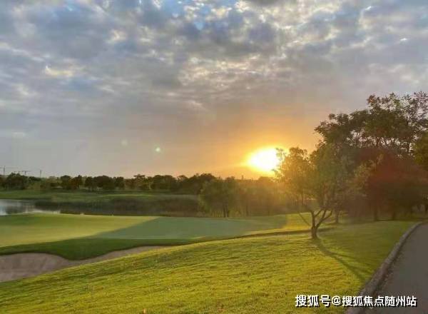 探索四不像的神秘世界,真实图片大全解析四不像图片大全大图