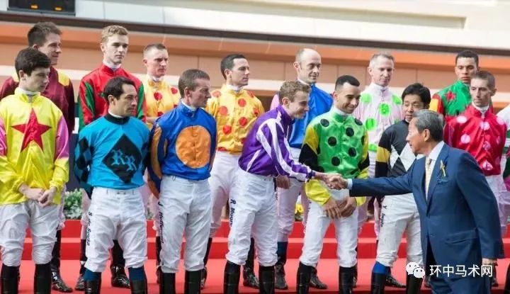 2019香港马会资料大全,免费资源与精彩赛事回顾香港2021年马会资料大全