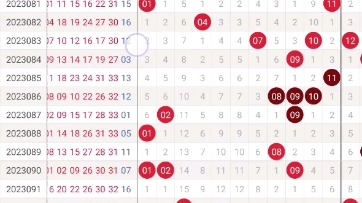 2043年澳门管家婆三肖15%精准预测，理性与娱乐的平衡2024年澳门管家婆三肖100%双色球开奖结果