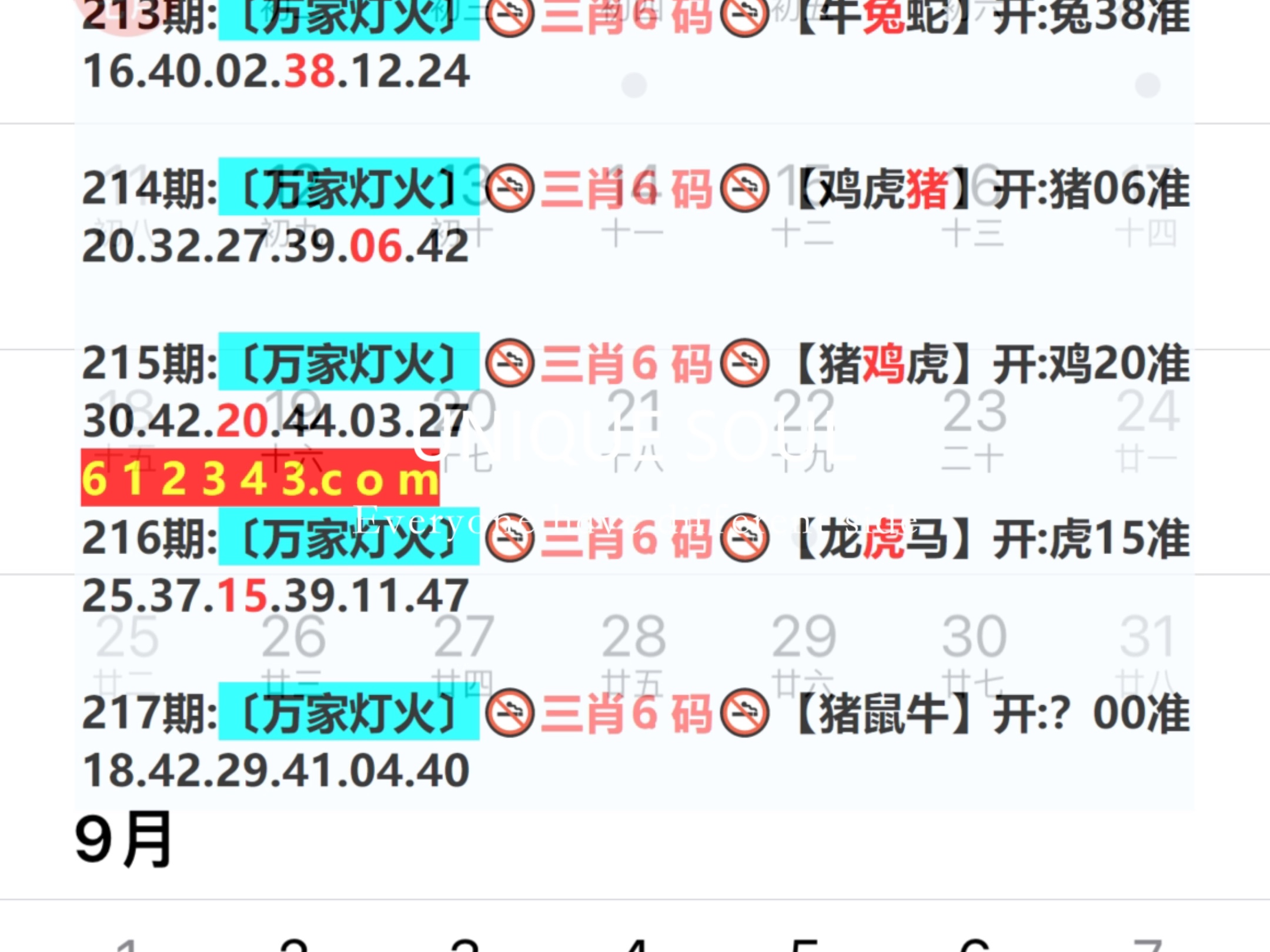 蓝月亮四肖八码，揭秘精准预测的背后与理性投注的重要性蓝月亮四肖八码精选资料一首页
