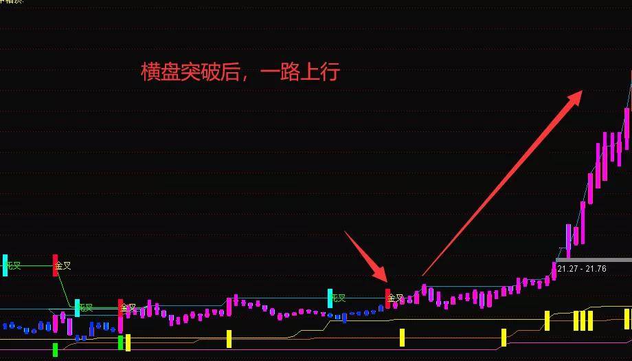今晚特马揭秘，探寻幸运的奥秘查一下今晚开什么特马2021年