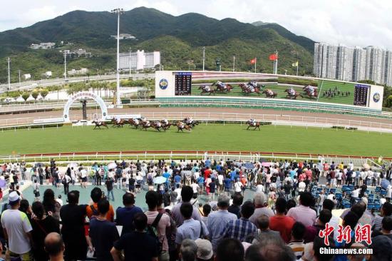 探索香港马会免费资料大全,解锁赛马的智慧与乐趣