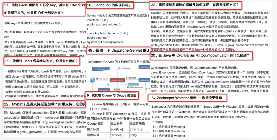 探索香港马赛，全面解析与资料大全香港马资料2021