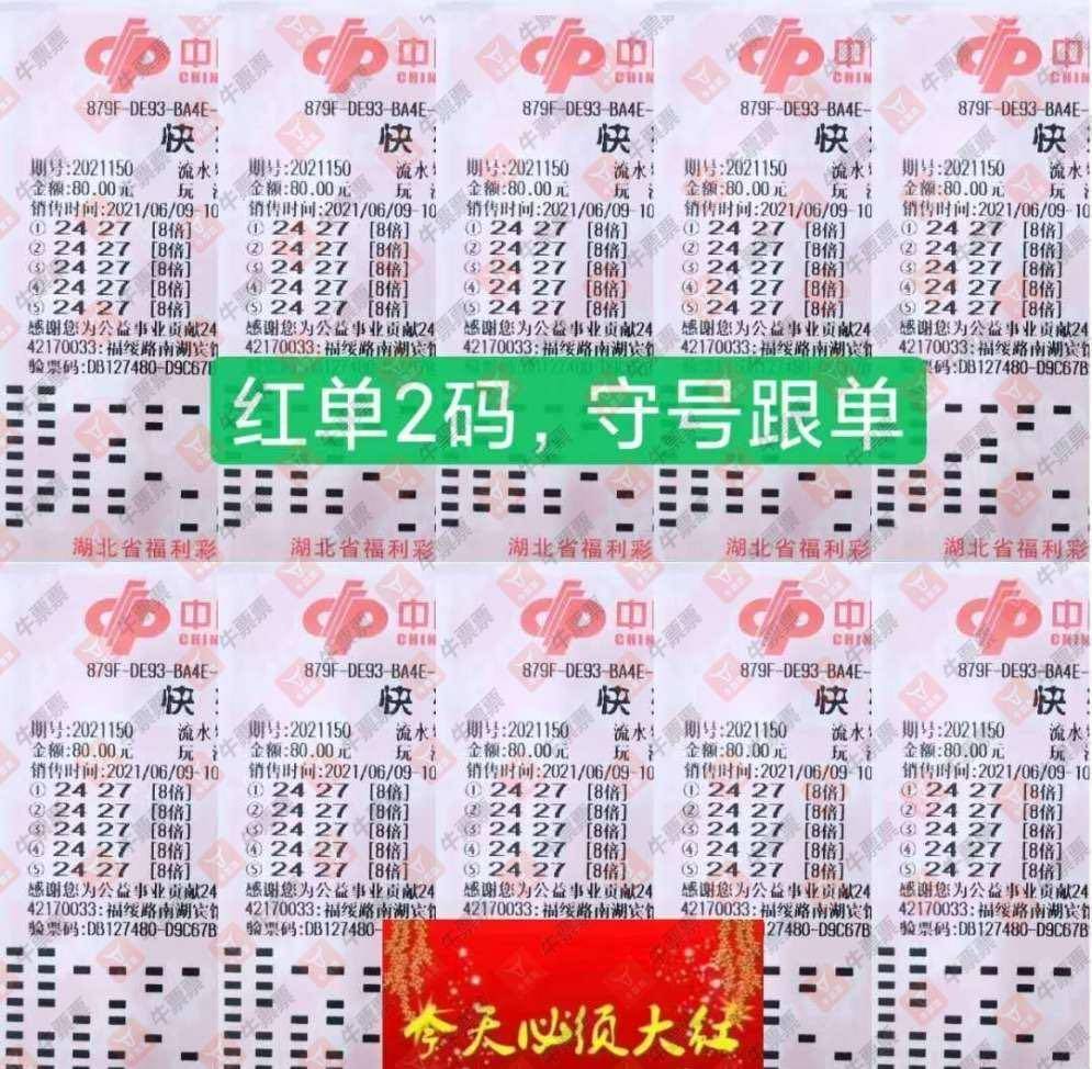204新澳门天天开好彩大全正版,揭秘彩票背后的奥秘与乐趣2004新澳门天天开好彩大全正版一