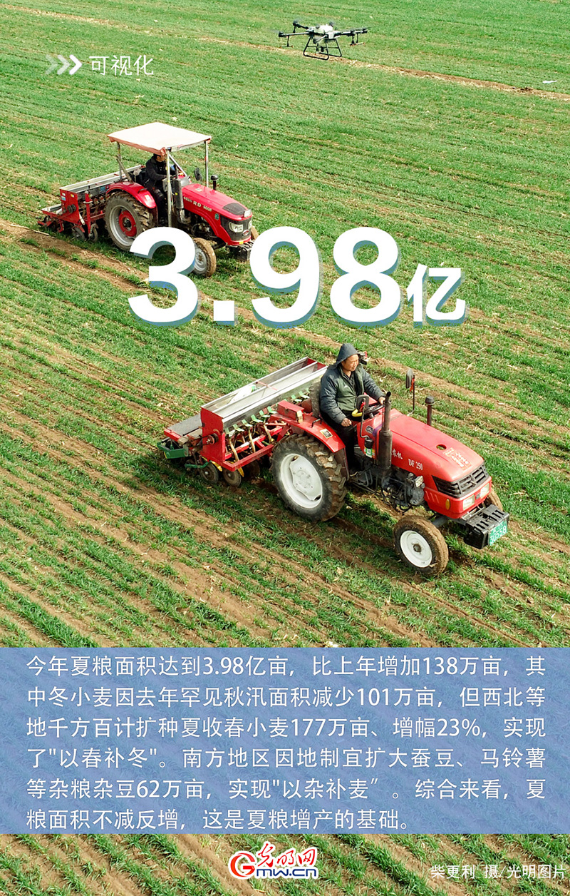 2035年，未来管家婆的智慧生活—一肖、二码与中特管家婆三肖中特,期期准一点红