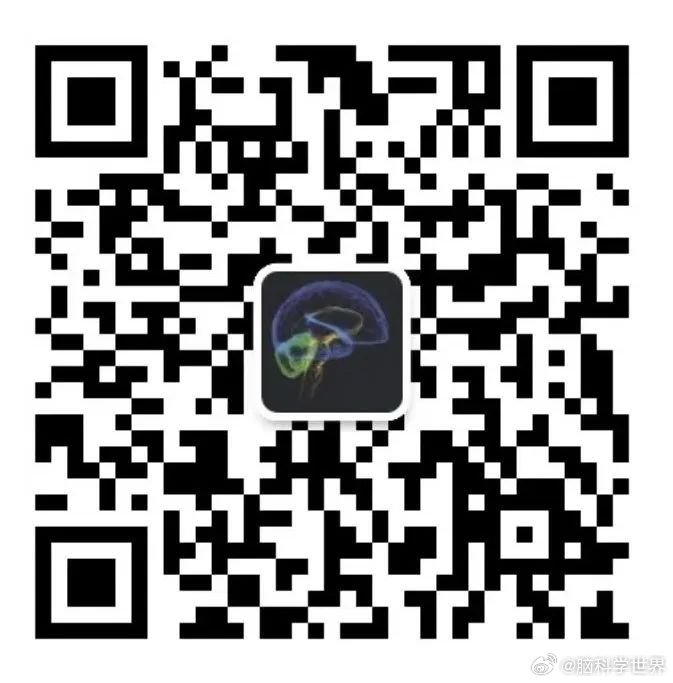 澳门开码资料,今晚免费分享的背后真相2021年澳门今晚开码咨询