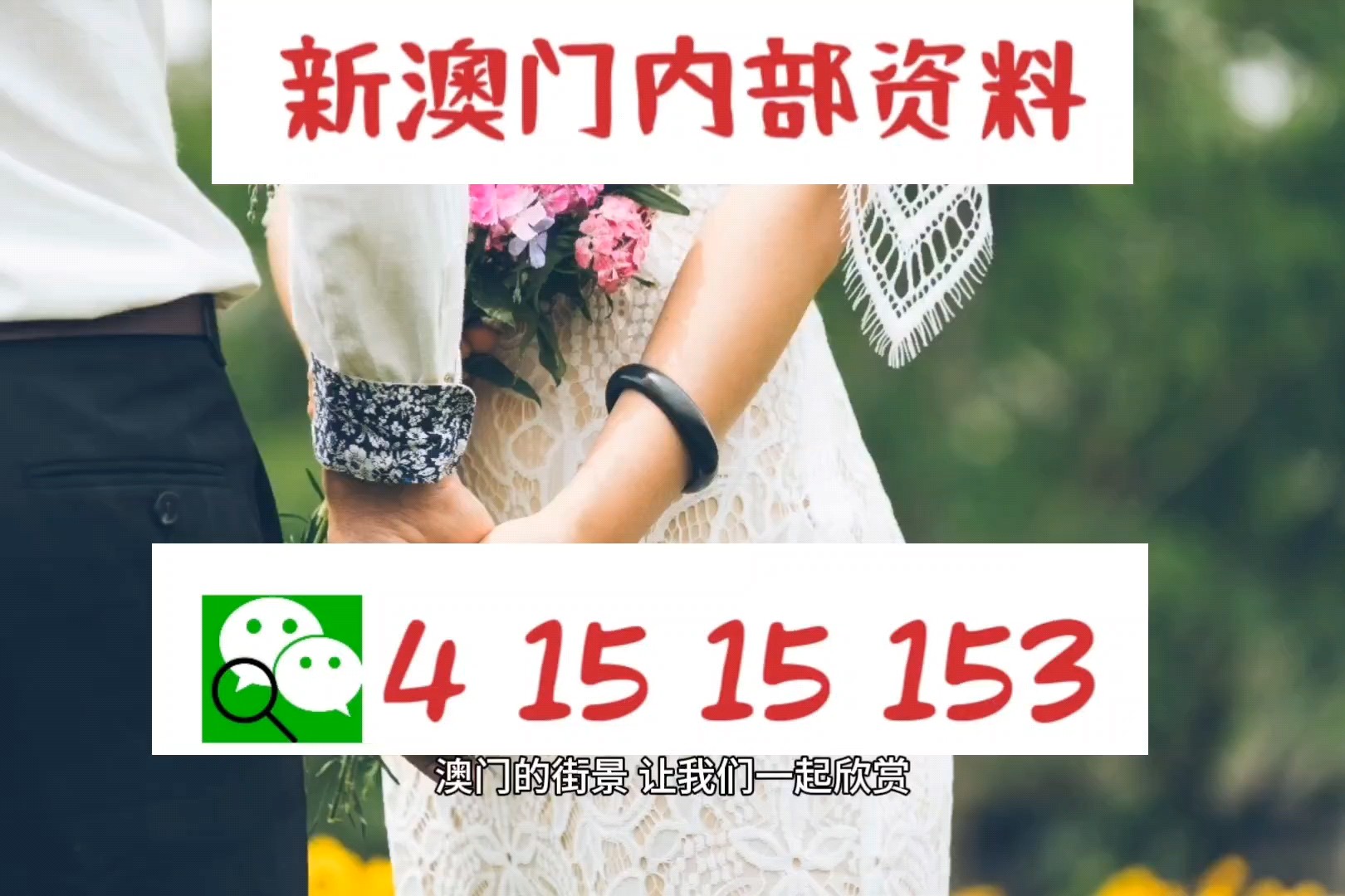 澳门资讯新探，204年正版资料全解析2024新澳门正版免费挂牌灯牌