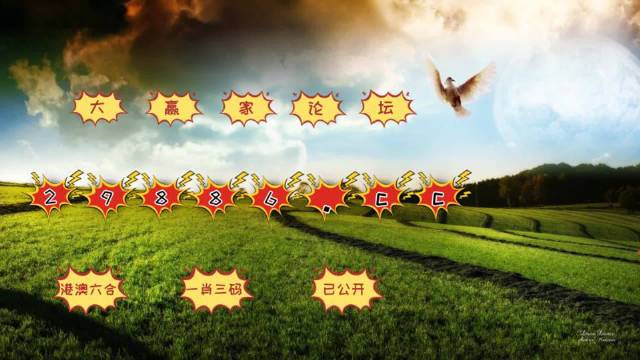 澳门六开奖结果2036年，透明、公正与未来展望49图库