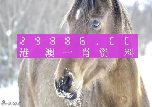 澳门码准确一肖免费下载，揭秘背后的真相与风险澳门一码准特