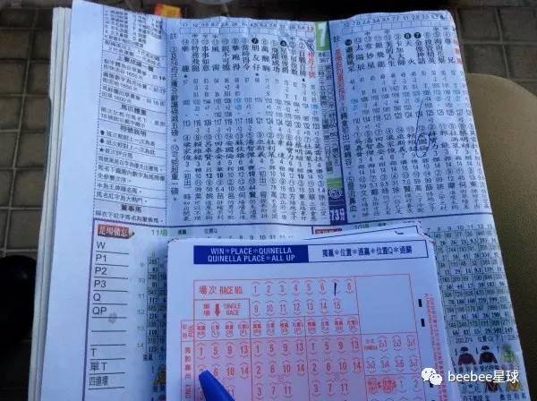今天香港开什么特马的背后，理性看待彩票与人生选择香港今天开什么码今天晚上