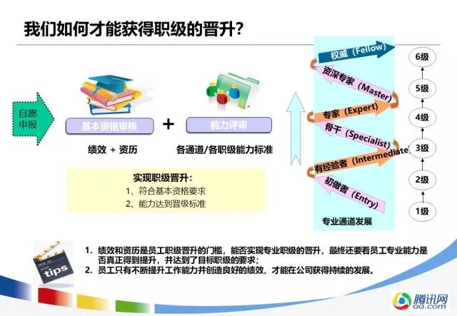 澳门内部资料精准大全,揭秘赌场背后的秘密与策略澳门高级内部vip资料