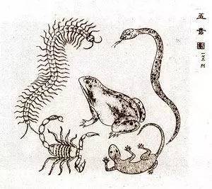 澳门三肖兔羊蛇,今晚的神秘预测与文化解读今天晚上澳门三肖兔羊蛇企业传成书
