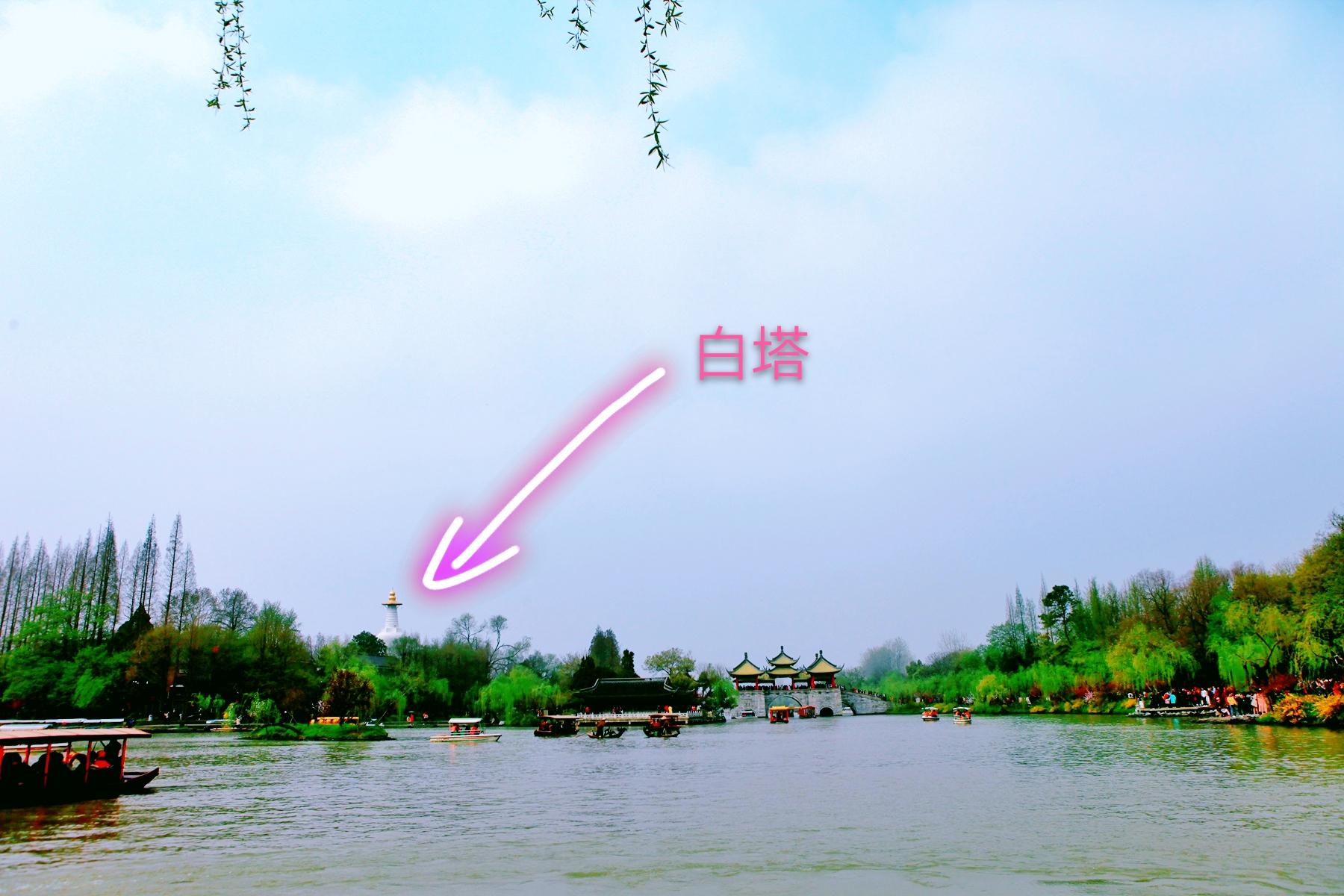 全年正版资料大全，守护知识产权，共享优质资源正版资料大全全年2019小说