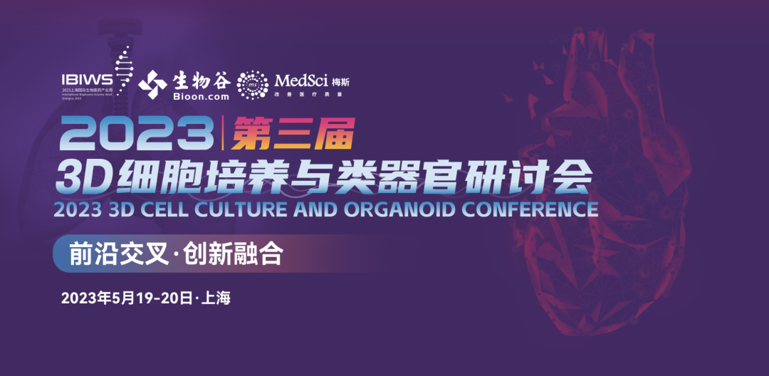 澳门2035，未来展望与资料大全澳门2023资料大全227期